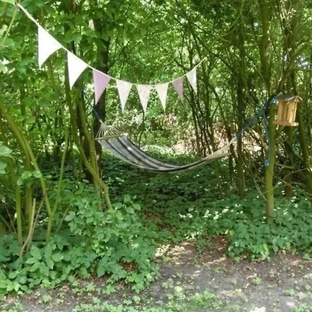 Huemmling Ha16 Sögel