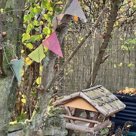 別荘 Huemmling Ha16 *